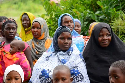 DSC_9462 (Large).JPG